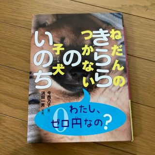 ねだんのつかない子犬きららのいのち(絵本/児童書)