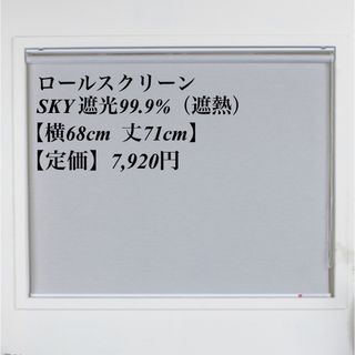 ロールスクリーン＊SKY遮光99.9%＊遮熱＊GLAY(ロールスクリーン)