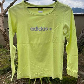 アディダス(adidas)のadidas Tシャツ(Tシャツ(半袖/袖なし))