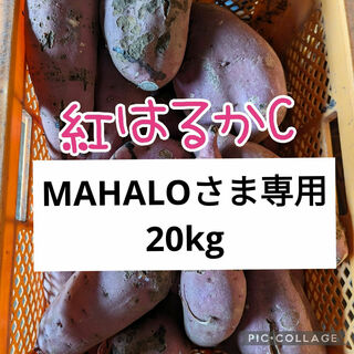 MAHALOさま(野菜)