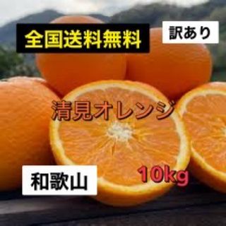 全国送料無料　和歌山　清見オレンジ　訳あり　10kg(フルーツ)