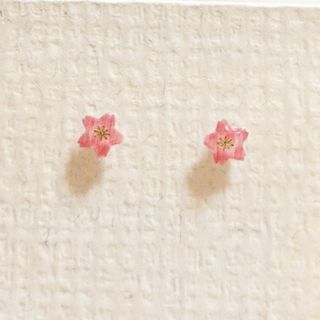 No.2368  桜のピアス☆(ピアス)