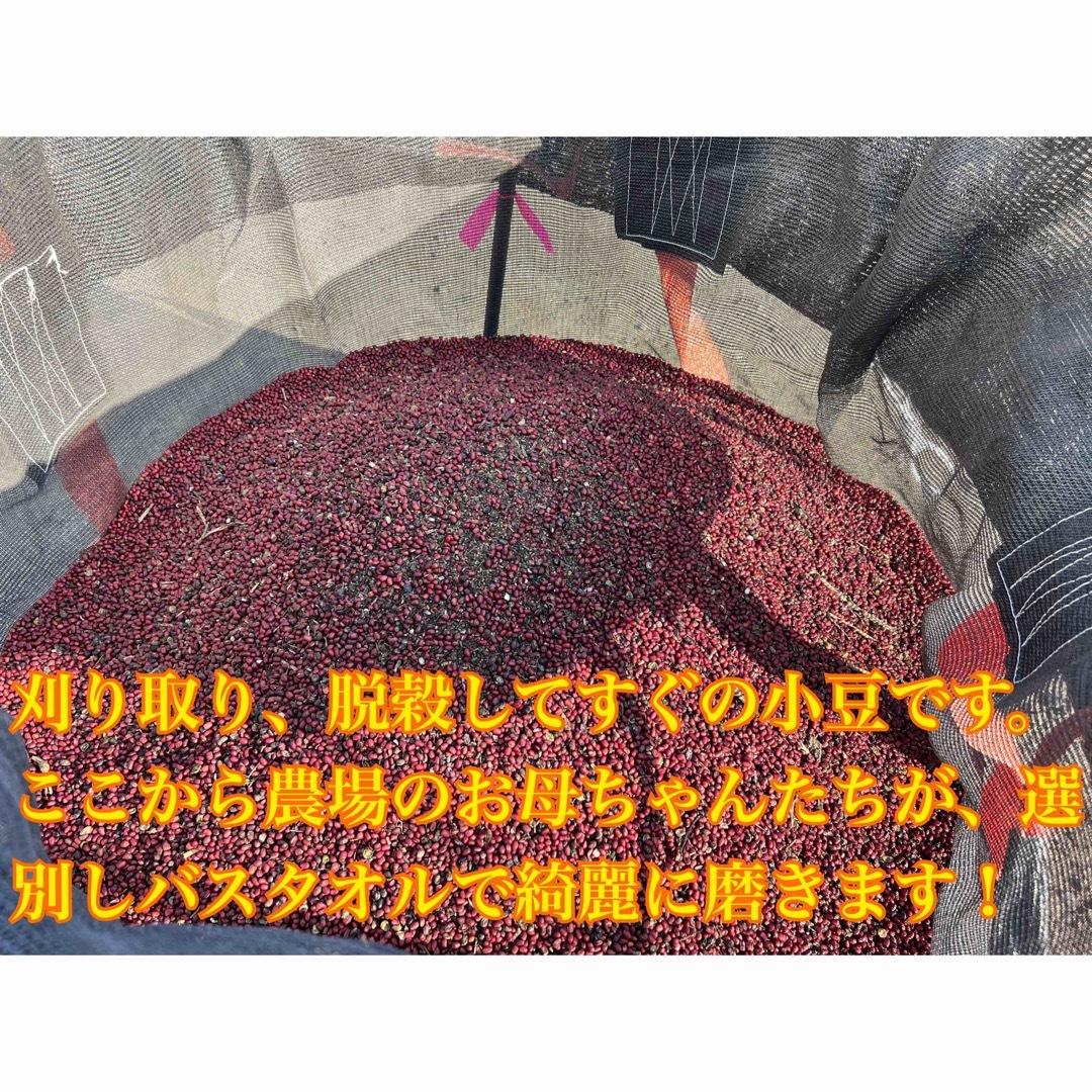 小豆　3kg 食品/飲料/酒の食品(米/穀物)の商品写真