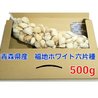 令和5年度　青森県産　500g　にんにく福地ホワイト六片(野菜)