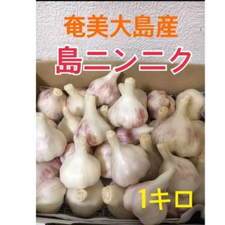 奄美大島産　無農薬栽培　島ニンニク(野菜)