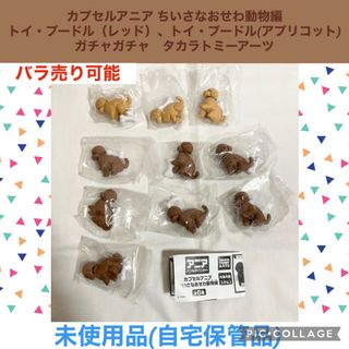 カプセルアニア ちいさなおせわ動物編　トイプードル　ガチャガチャ　フィギュア