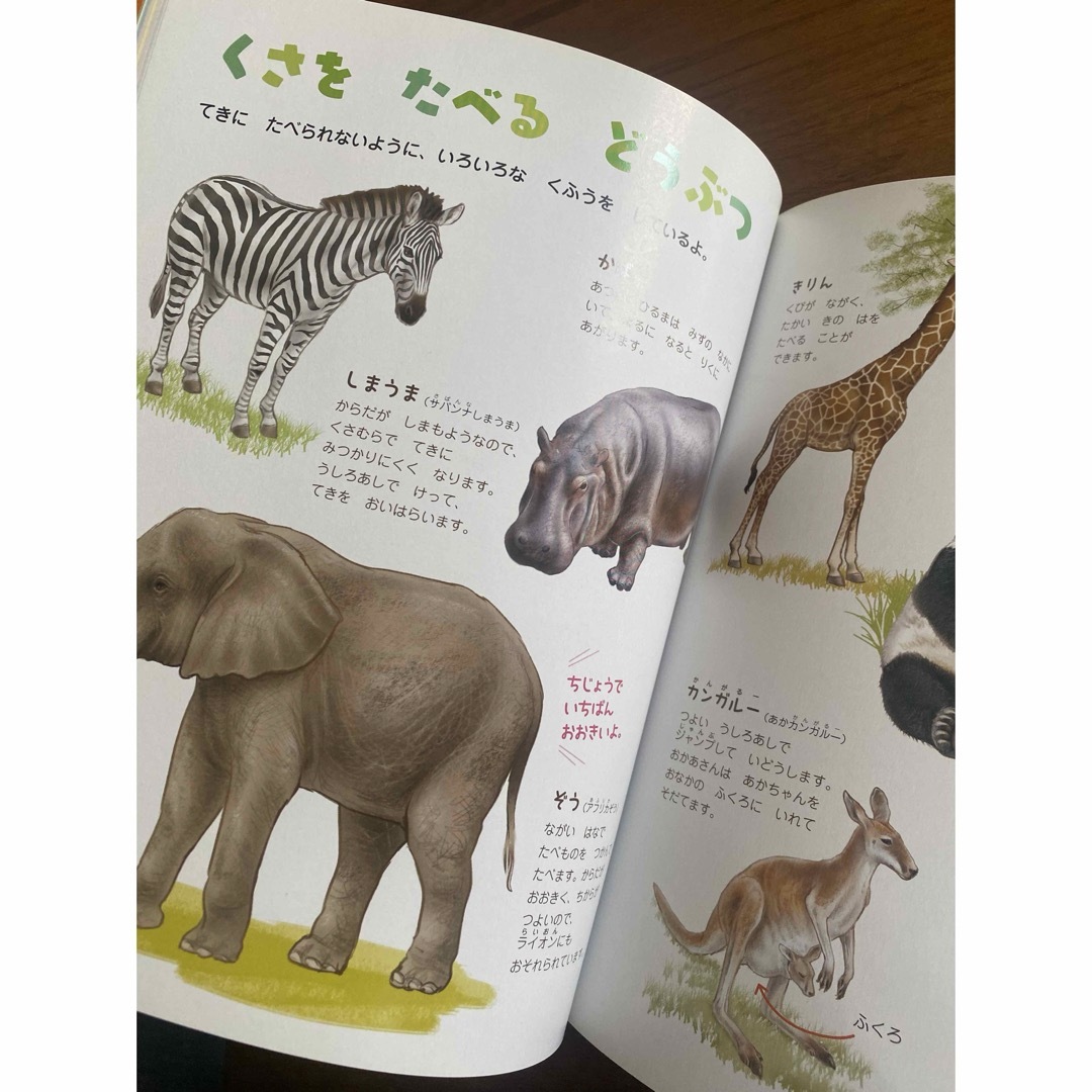 4歳のえほん百科　【絵本】 エンタメ/ホビーの雑誌(絵本/児童書)の商品写真