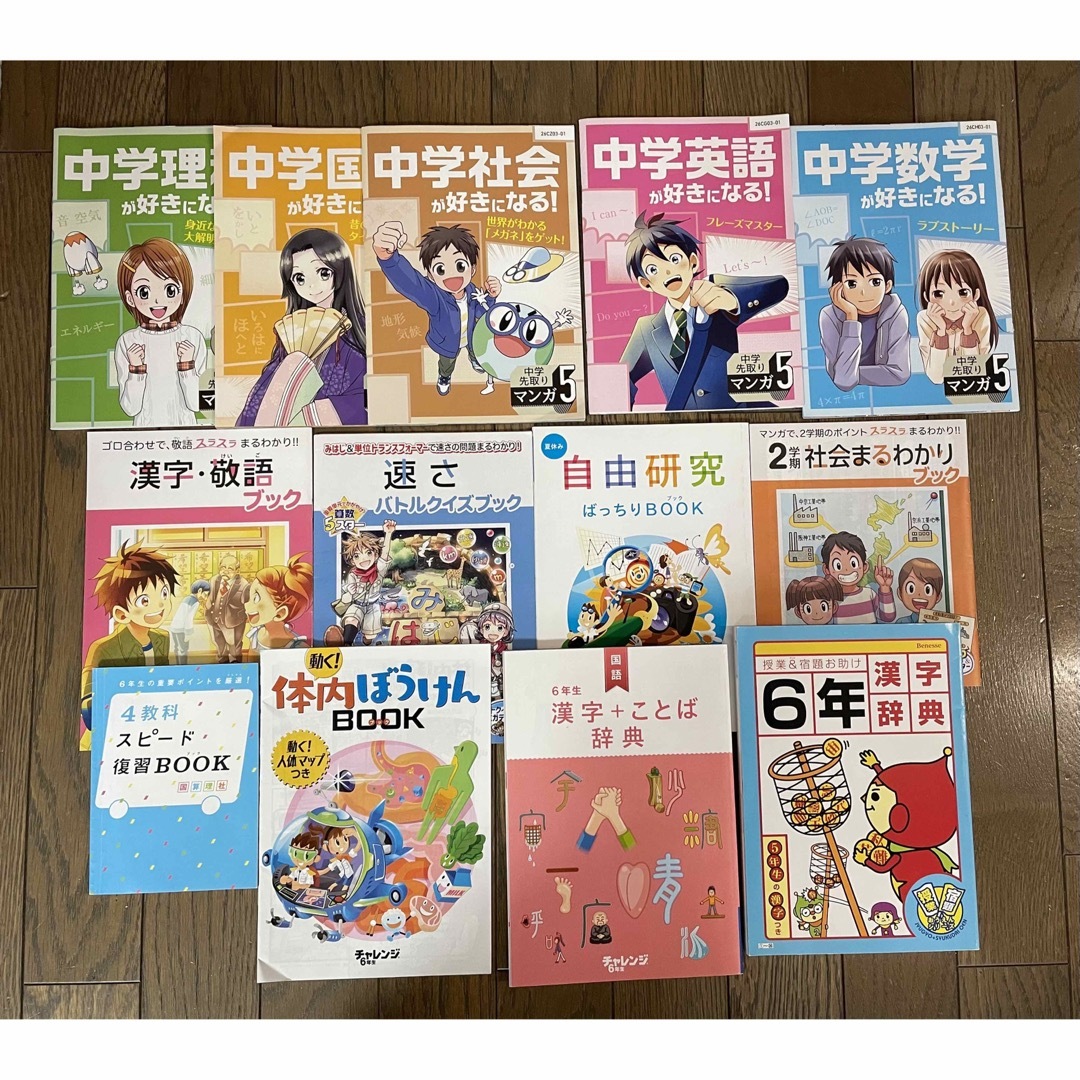 Benesse(ベネッセ)のチャレンジ6年生 別冊13冊セット！漢字＋ことば辞典など エンタメ/ホビーの本(語学/参考書)の商品写真