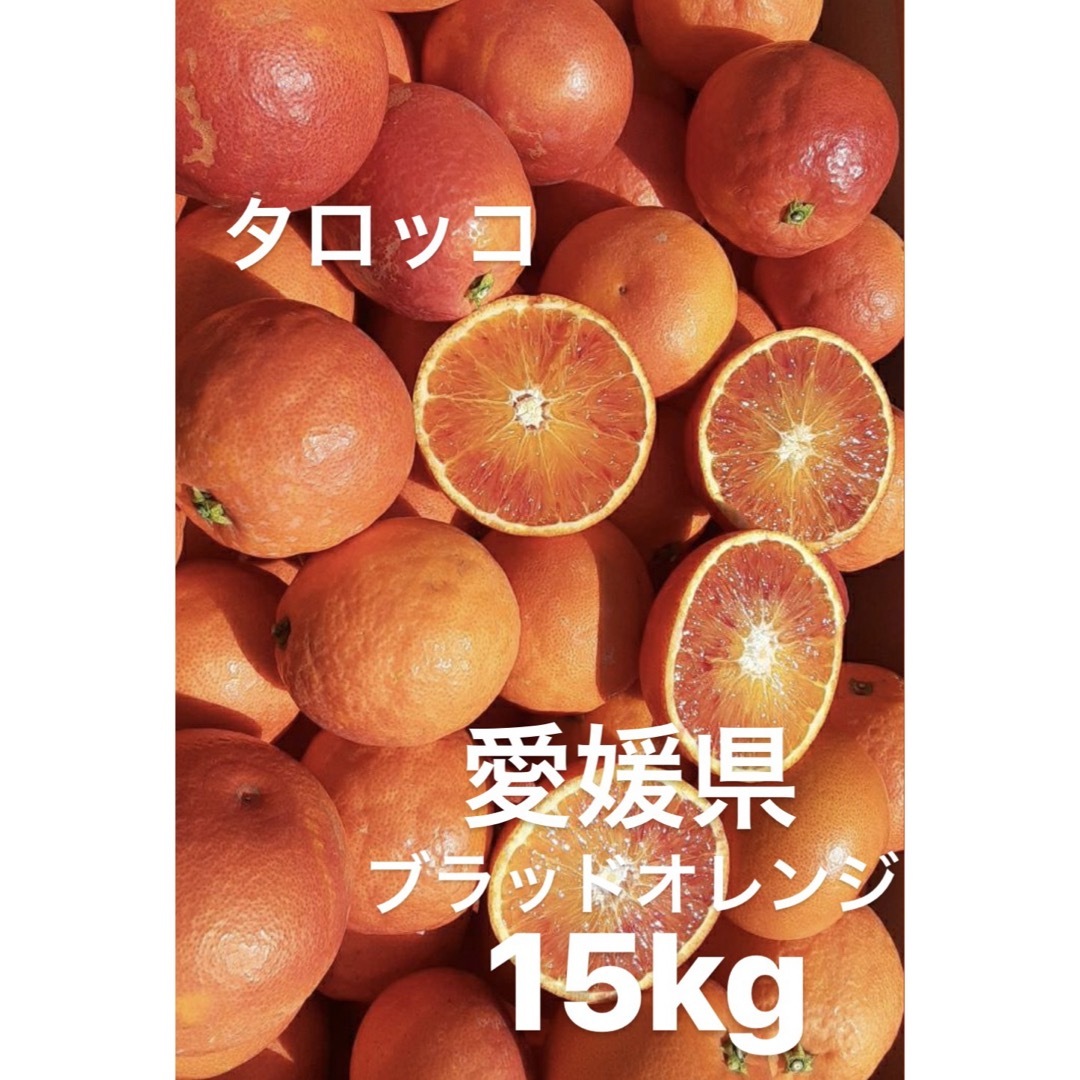 えるも様　専用　愛媛県産　ブラッドオレンジ　タロッコ　柑橘　15kg 食品/飲料/酒の食品(フルーツ)の商品写真