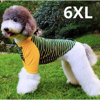【訳あり】大型犬用 犬服 可愛い　ボーダー柄 6XL(犬)