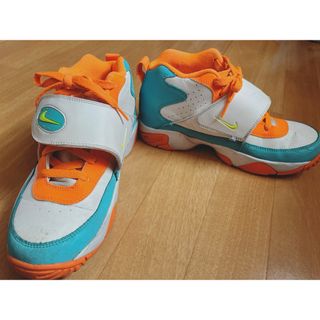 ナイキ(NIKE)のNIKE 25cm(スニーカー)