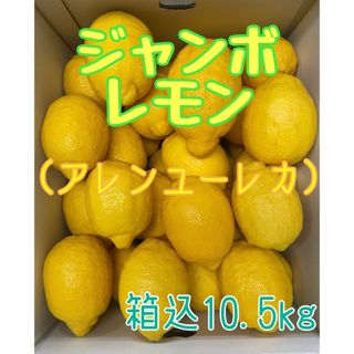 ジャンボレモン（アレンユーレカ）箱込み10.5kg(フルーツ)