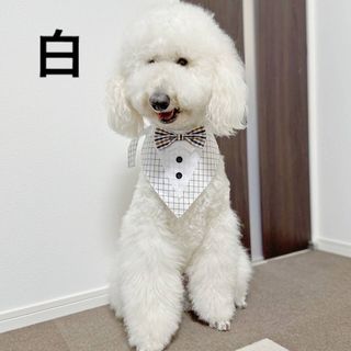 【ペット用】大型犬 中型犬用 可愛い 蝶ネクタイ風 エプロン チェック柄　白(ペット服/アクセサリー)