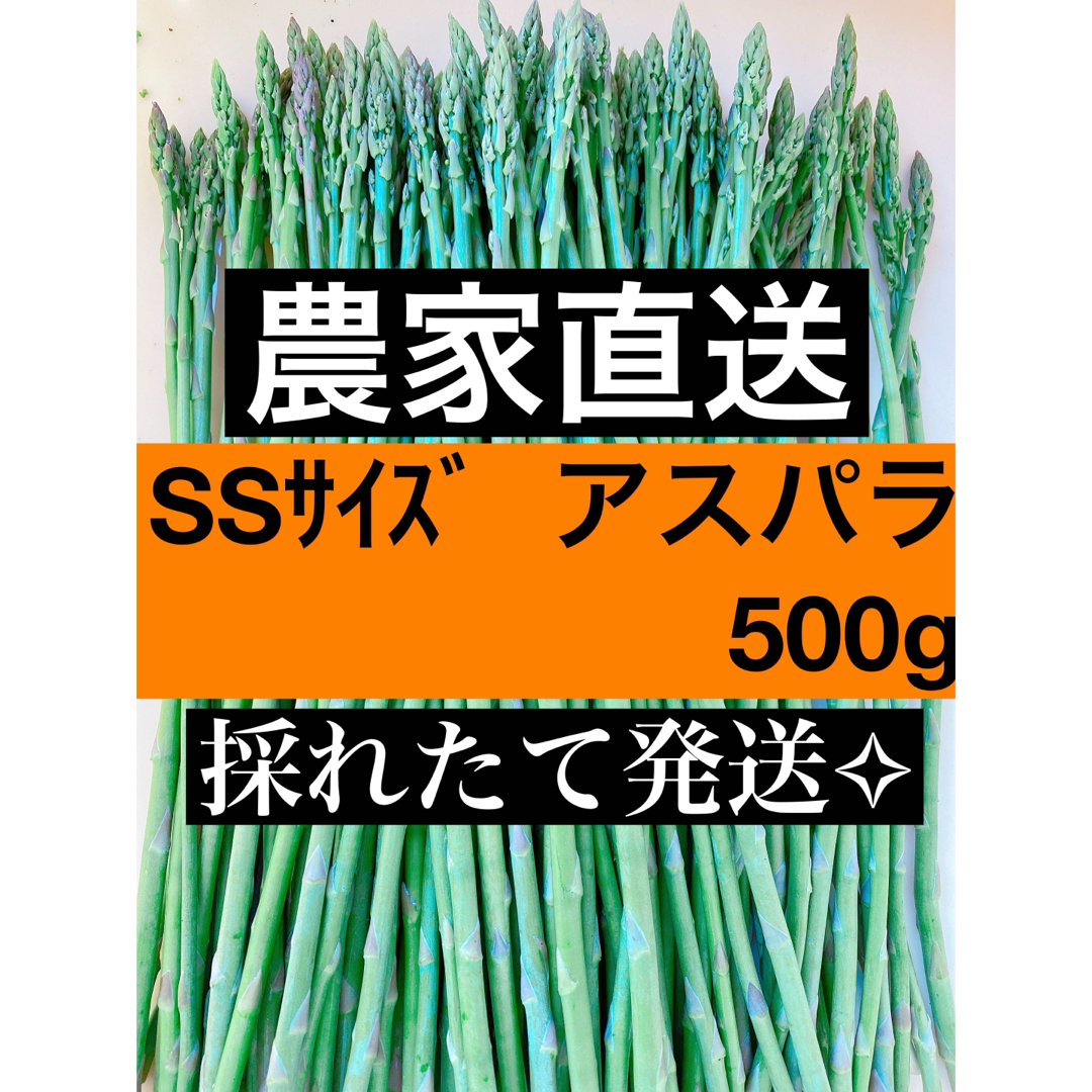 アスパラガス SSサイズ 即購入⭕️ 食品/飲料/酒の食品(野菜)の商品写真