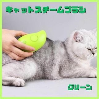 キャット スチームブラシ USB充電 マッサージ 犬 猫 ブラッシング 緑(猫)