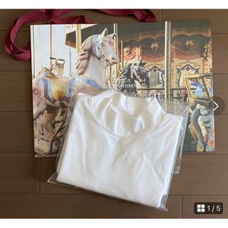 グレースコンチネンタル(GRACE CONTINENTAL)のダイアグラム　グレースコンチネンタル36新品　NO.22(Tシャツ(長袖/七分))