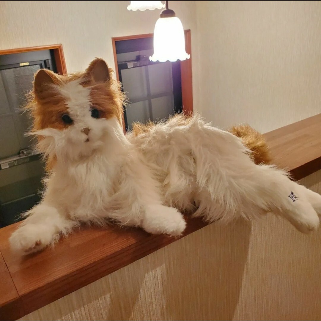 SEGA - セガトイズ 夢ねこ ヴィーナス 猫 ネコの通販 by lealea SEGA - セガトイズ 夢ねこ ヴィーナス 猫 ネコの通販 by lealea