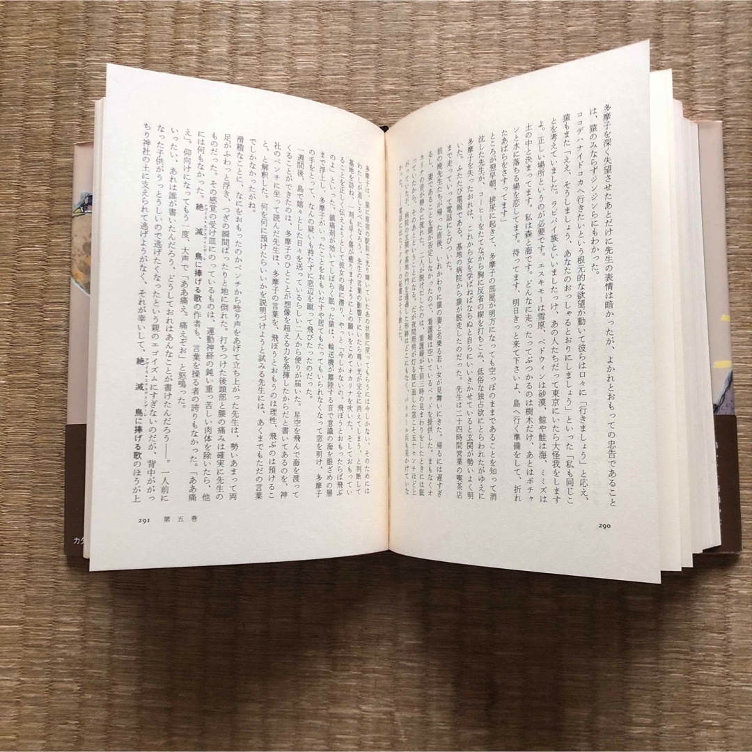 カタリ鴉（集英社）／青野聰 エンタメ/ホビーの本(文学/小説)の商品写真