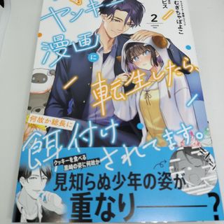 ヤンキー漫画に転生したら、何故か総長に餌付けされてます。(女性漫画)