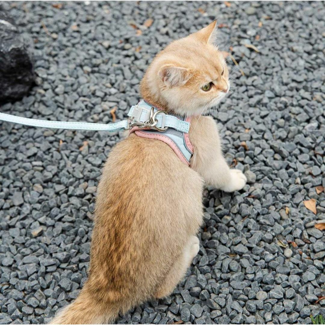 Lサイズ ピンク ブルー ペット 犬　猫　小動物　ハーネスリード　ハーネス その他のペット用品(猫)の商品写真