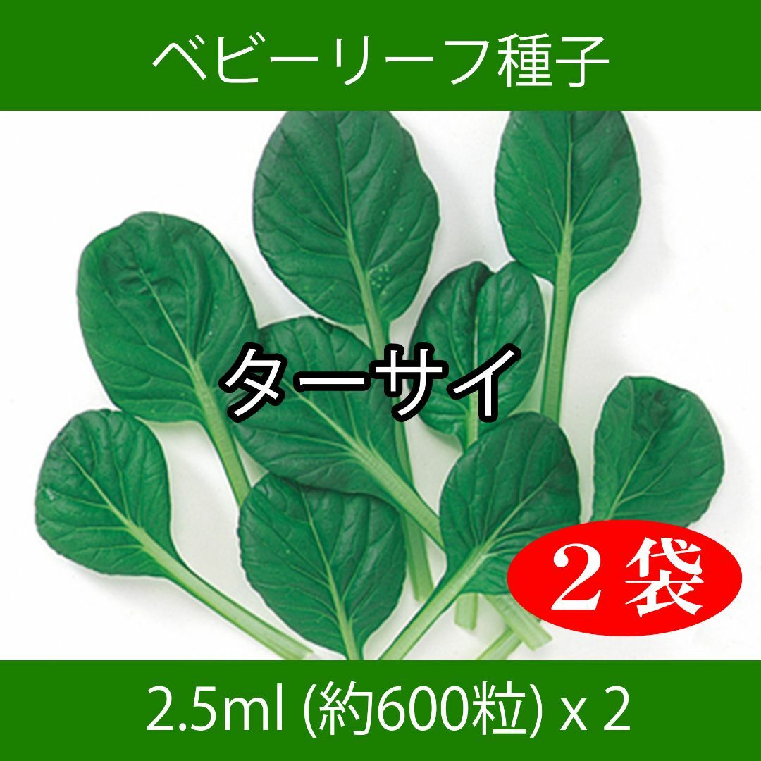 ベビーリーフ種子 B-26 ターサイ 2.5ml 約600粒 x 2袋 食品/飲料/酒の食品(野菜)の商品写真