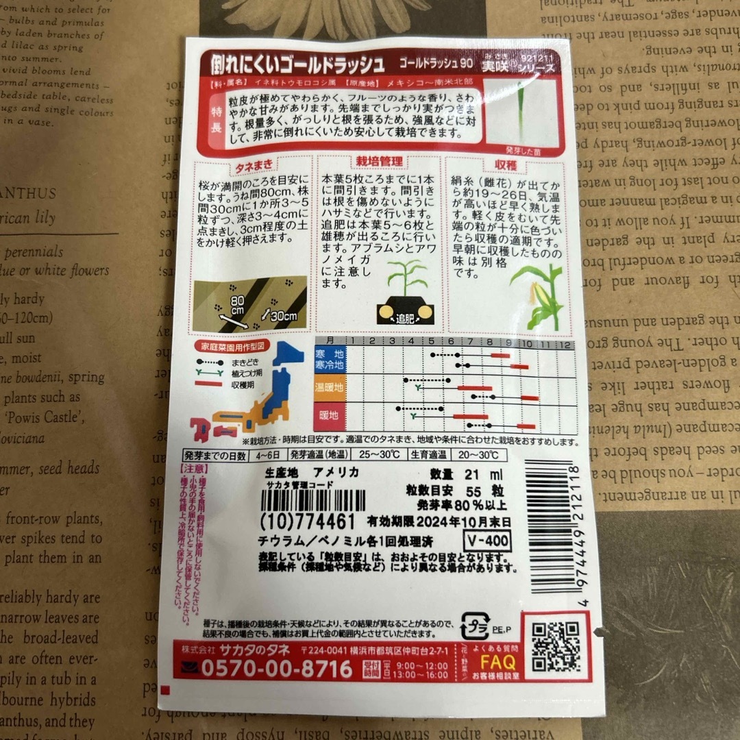 種　とうもろこし　倒れにくいゴールドラッシュ 21ml サカタのタネ ハンドメイドのフラワー/ガーデン(その他)の商品写真