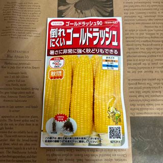 種　とうもろこし　倒れにくいゴールドラッシュ 21ml サカタのタネ(その他)