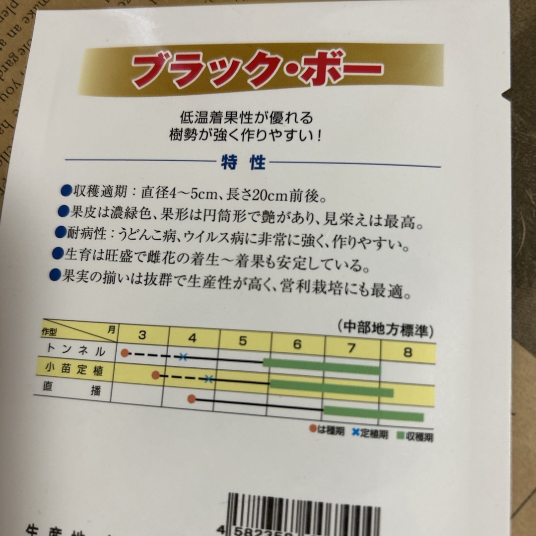 種　ズッキーニ　ブラック・ボー  ハンドメイドのフラワー/ガーデン(その他)の商品写真