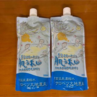 豊富温泉水 サロベツ大地恵泉 肌うれし 500ml 2本(入浴剤/バスソルト)