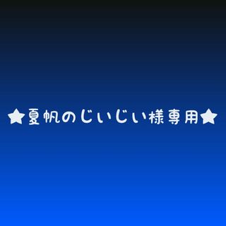 矢沢永吉ステッカー★夏帆のじいじい様専用★(ミュージシャン)