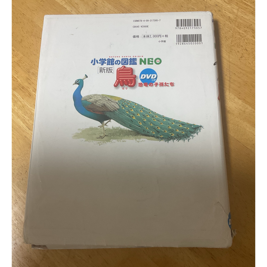 小学館(ショウガクカン)の「新版　鳥」　小学館の図鑑NEO DVD付き エンタメ/ホビーの本(絵本/児童書)の商品写真