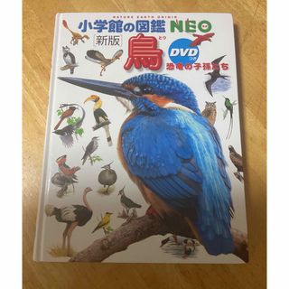 ショウガクカン(小学館)の「新版　鳥」　小学館の図鑑NEO DVD付き(絵本/児童書)