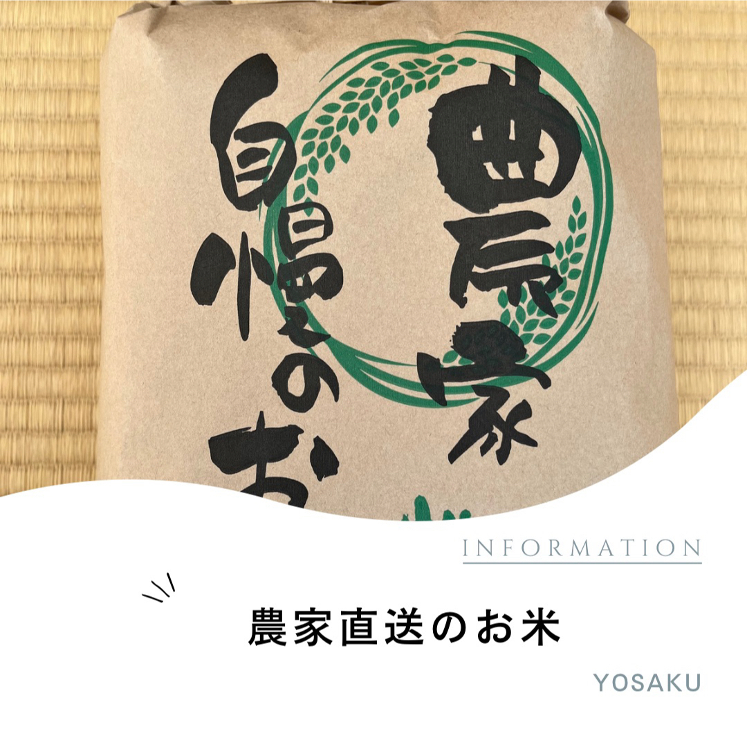 お米5キロ 愛知県美浜町産 コシヒカリ 食品/飲料/酒の食品(米/穀物)の商品写真