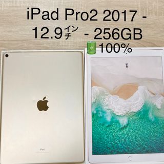 アップル(Apple)のiPad Pro 第二世代-12.9インチ-256GB SIMフリー(タブレット)