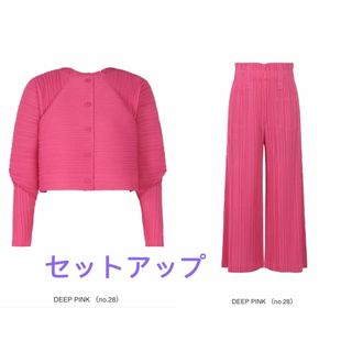 プリーツプリーズイッセイミヤケ(PLEATS PLEASE ISSEY MIYAKE)の新品未使用プリーツプリーズRAMIE JO222 、JF223 セットアップ(セット/コーデ)