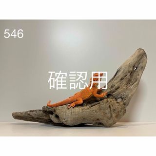 流木【546】(置物)