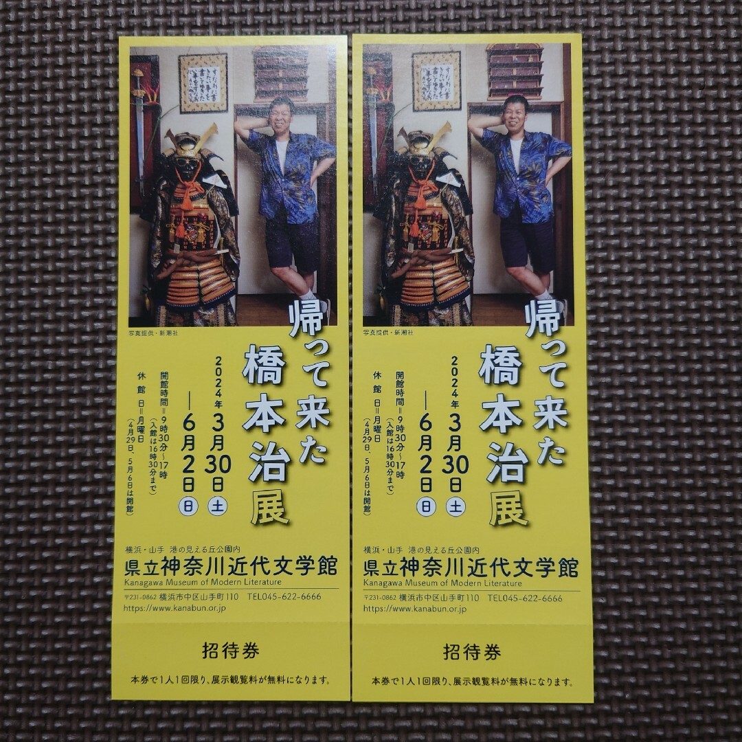 帰って来た橋本治展　招待券2枚　神奈川近代文学館 チケットの施設利用券(美術館/博物館)の商品写真