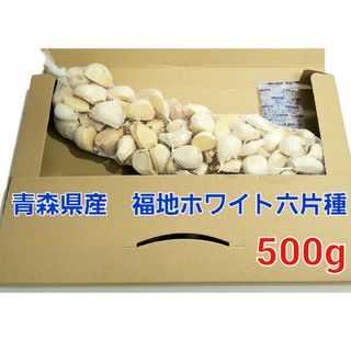 令和5年度　青森県産　500g　にんにく福地ホワイト(野菜)