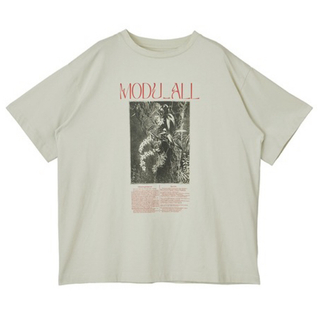 アメリヴィンテージ(Ameri VINTAGE)のアメリ 24SS CONCEPT PRINT TEE(Tシャツ(半袖/袖なし))