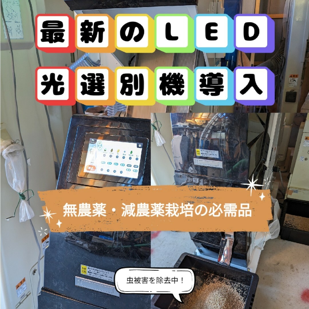 ✾福井県産ミルキークイーン✾玄米10kg✾⑤年産新米✾減農薬栽培✾ 食品/飲料/酒の食品(米/穀物)の商品写真