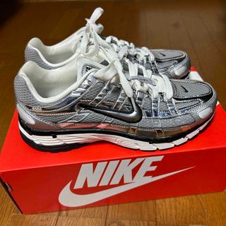 ナイキ(NIKE)のjournal standard NIKE p6000スニーカー　シルバー(スニーカー)