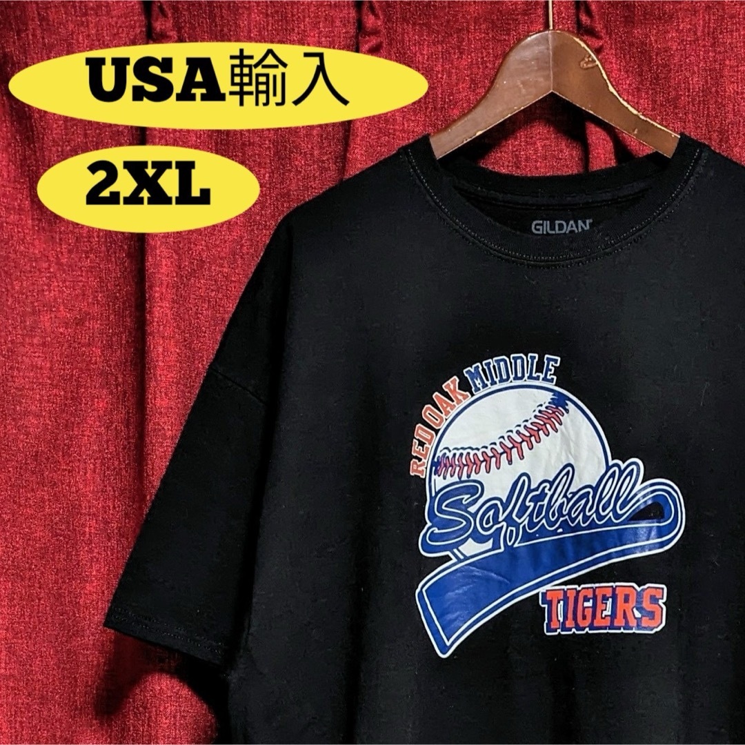 GILDAN(ギルタン)のUS古着 スクールT チームロゴ Tシャツ 黒 半袖 アメカジ ワイドシルエット メンズのトップス(Tシャツ/カットソー(半袖/袖なし))の商品写真