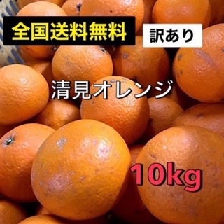 全国送料無料　和歌山　清見オレンジ　訳あり　10kg(フルーツ)
