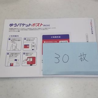 ゆうパケットポストmini封筒 30枚(印刷物)