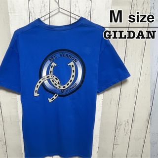 ギルタン(GILDAN)のUSA古着　GILDAN　Tシャツ　M　ブルー　青　プリント　ロゴ　クルーネック(Tシャツ/カットソー(半袖/袖なし))