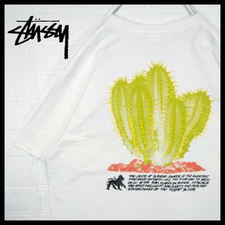 ステューシー(STUSSY)の【STUSSY】サボテンアート　ビッグシルエット　Tシャツ(Tシャツ/カットソー(半袖/袖なし))