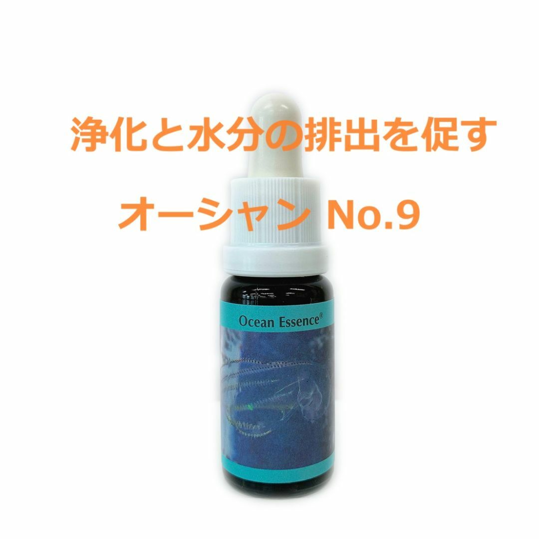  オーシャンエッセンス No.9　コルテPHIエッセンス インテリア/住まい/日用品のキッチン/食器(グラス/カップ)の商品写真