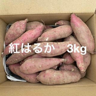 紅はるか　さつまいも　3kg 小さいサイズ　(野菜)