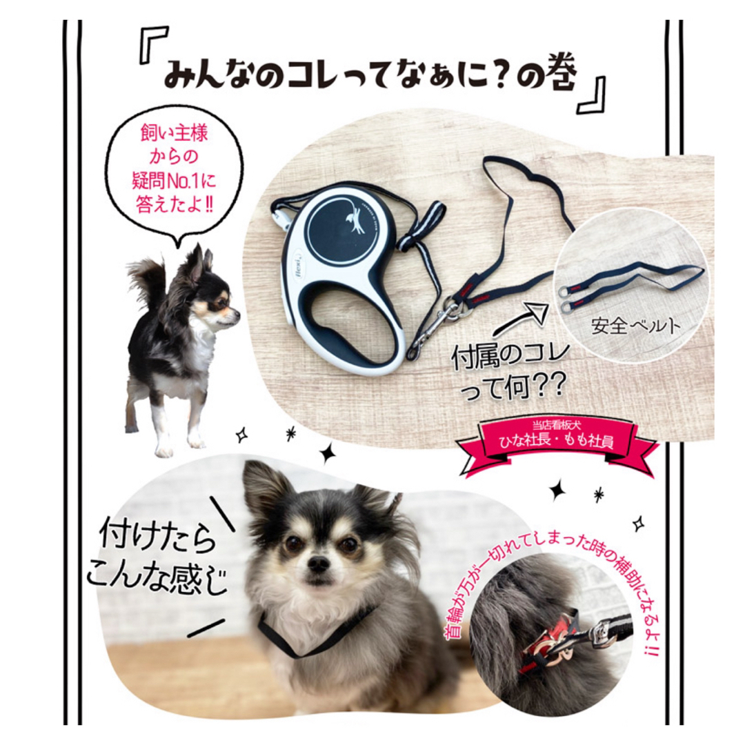 フレキシ　　犬用伸縮リード ハンドメイドのペット(リード/首輪)の商品写真