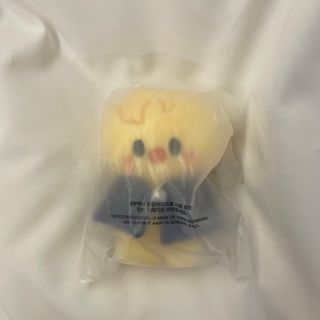 ストレイキッズ(Stray Kids)のSKZOO PLUSH 10cm BbokAri ポガリ(アイドルグッズ)